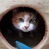 BluezCluez profil fotoğrafı