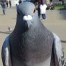 Profilbild von Just Me