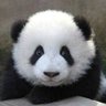 天澤 profil fotoğrafı