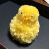 mayu_amakara's profile picture