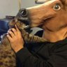 Profilbild von Austin Horseman