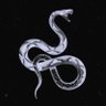 Profilbild von snecc