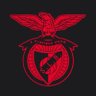 Profilbild von Bancada Benfica