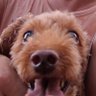 Profilbild von kimouser64