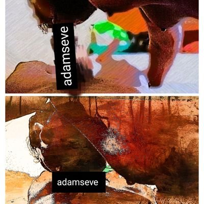 adamsevetuty's profile picture