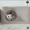 sddh 的头像