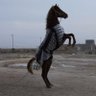 Фото профиля ايمن الكريم