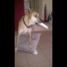 Фото профиля Daniel Villanueva