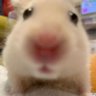 _ Andreea's profile picture