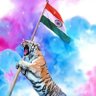 Kalyan3004's profile picture