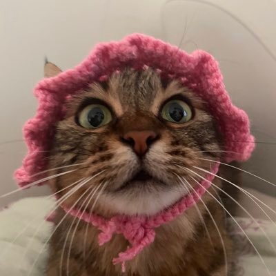 Balım Öztekir's profile picture