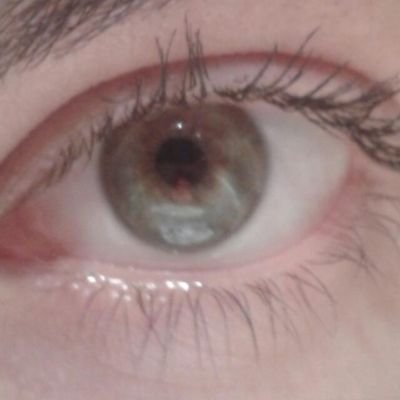 guiomar's profile picture