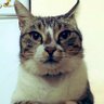 Val profil fotoğrafı