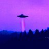 purplelight's profile picture