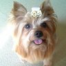 みのちゃん's profile picture