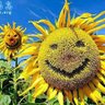 Фото профиля ややま みずき