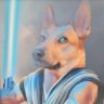 Dennis Hirschboeck's profile picture