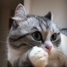 EssBee profil fotoğrafı