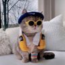 LemonThomas 的头像