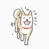Woof woof 的头像