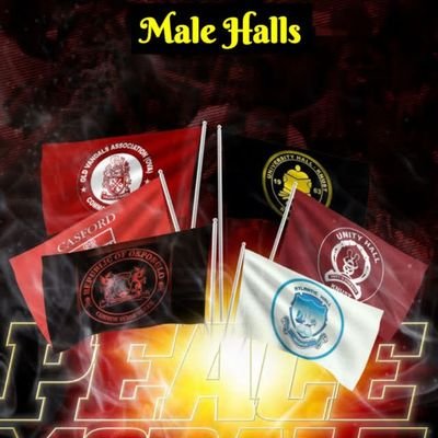 Male Halls Official 🏴☠️'s profile picture