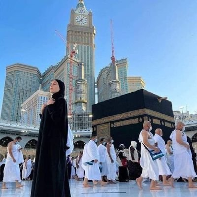 basmaalmalek25's profile picture