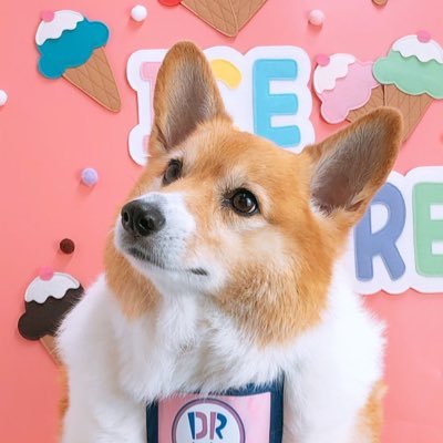 🧸Shelliemay🧸🐶'ㅅ' ♡🍭c('ㅅ'🍬c)'s profile picture