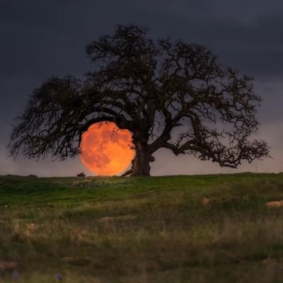 Abraham_gomez44's profile picture