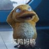 chin 的头像