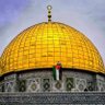 Aloush🇦🇹🇵🇸✌️ 的头像