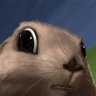 Фото профиля hamsterstyle