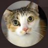 Kira's profile picture
