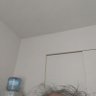 お馬の親子 的头像