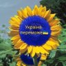 Ігор Дюдік profil fotoğrafı