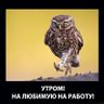 Михаил Фоломейкин 的头像