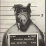 Sister Walrus's profile picture