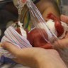 Don't Burn This Flag's profile picture