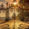 Фото профиля Solal61