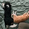 Zeus and Apollo 的头像
