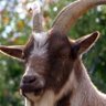 Kazimierz's profile picture