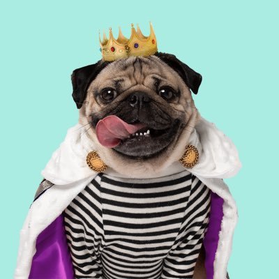 Doug The Pug's profile picture