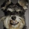 MAJOR's profile picture