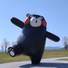 まるくま🐻(ゾンビ会員番号745) profil fotoğrafı