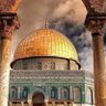 Profilbild von Hadjer.s 🇵🇸🇩🇿