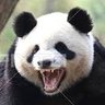 Dimas Larena's profile picture