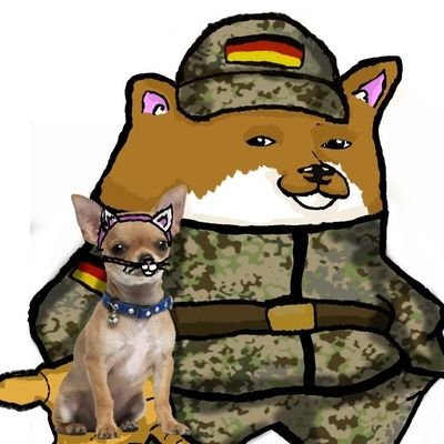 Catfella 📯 🇺🇦🤝🇩🇪🇨🇦's profile picture