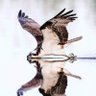 Тайный Узбек's profile picture