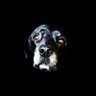 lazoRock ↙↙↙🌎's profile picture