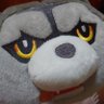 🐺💛さやか💛🐺3/15サザン3/22🐺 profil fotoğrafı