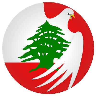 new_lebanese's profile picture